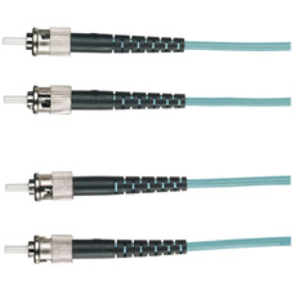 BLACK BOX CORP EFNT010-010M-STST