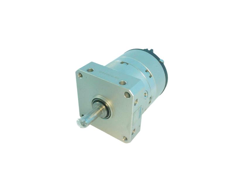 DSM-10-240-P-A-FF by FESTO