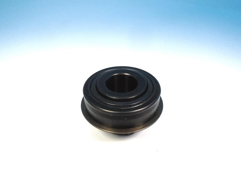 REGAL REXNORD ER12-3/4