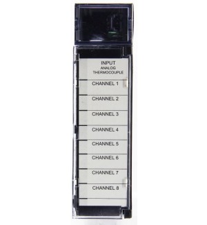 HORNER AUTOMATION HE693RLY100