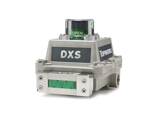 TOPWORX DXS-0H1GNEB0000B