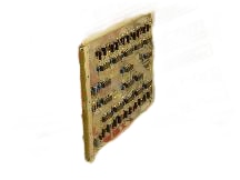 D3001TM by INVENSYS