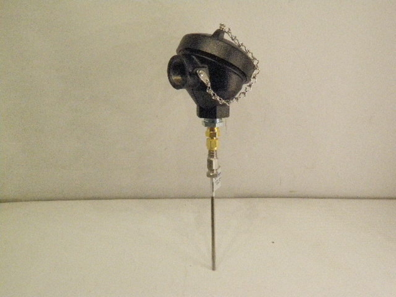 CONAX BUFFALO RTD43W7-316SS18-T5CI-MK187A-6.00