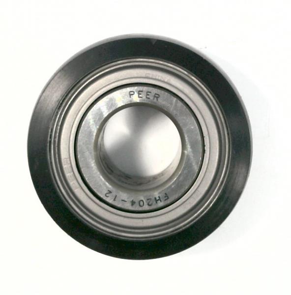 PEER FH204-12