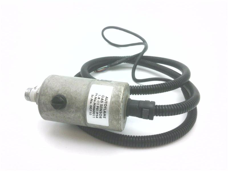 AUTOFLAME BOILER MM60011