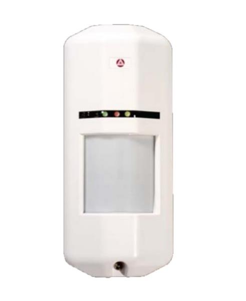 ALEPH INTERNATIONAL XP3