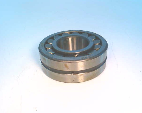 SCHAEFFLER GROUP 22309S