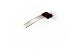 CORNELL DUBILIER CD19FD302J03