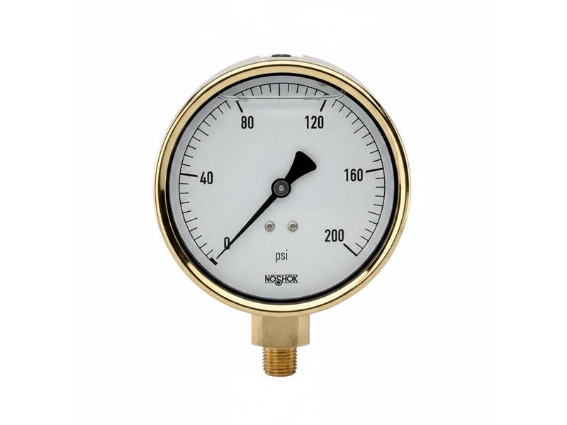 NOSHOK 40-300-1500-PSI-1/2-CFF-CC
