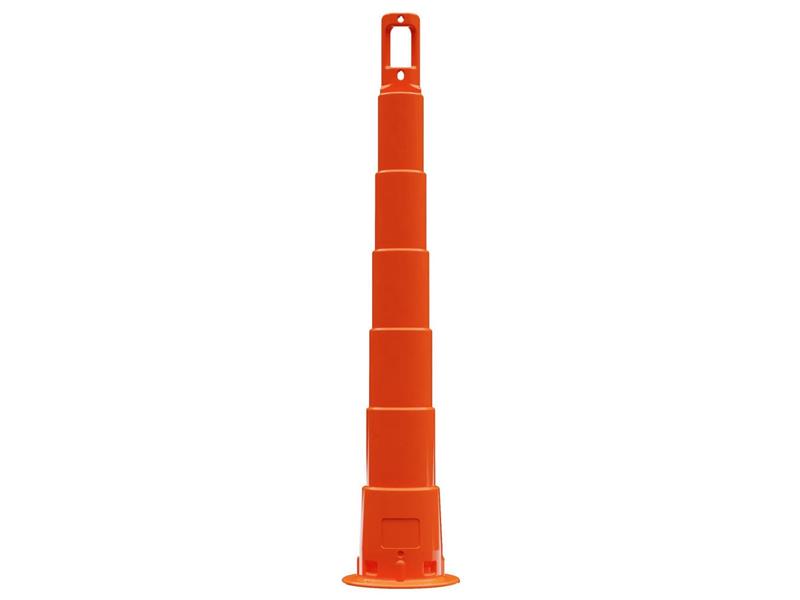 PRO SAFE INC 650R1-O