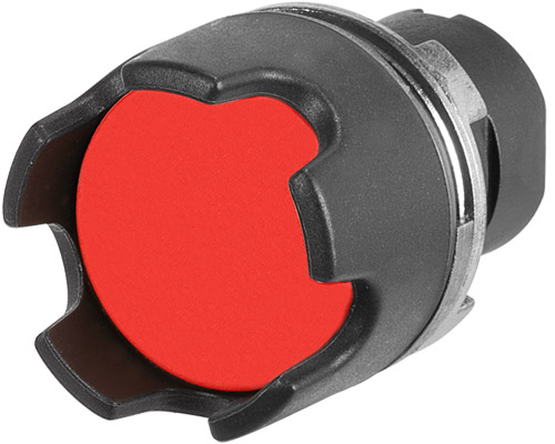 020PIPR by NEW ELFIN