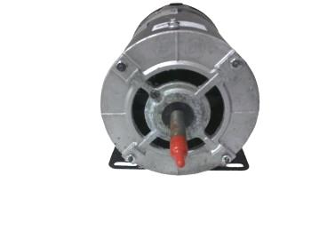 REGAL REXNORD 7-177784-02