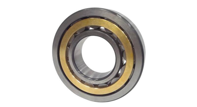 SCHAEFFLER GROUP NU309-E-XL-M1-C4