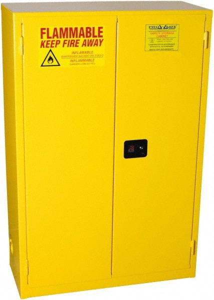 PRO SAFE INC CAB-F45G-M2D