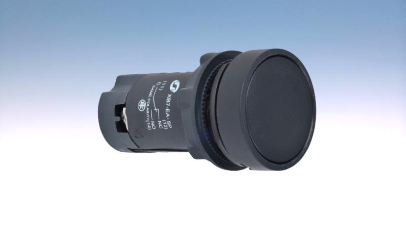 SCHNEIDER ELECTRIC XB7EA21P