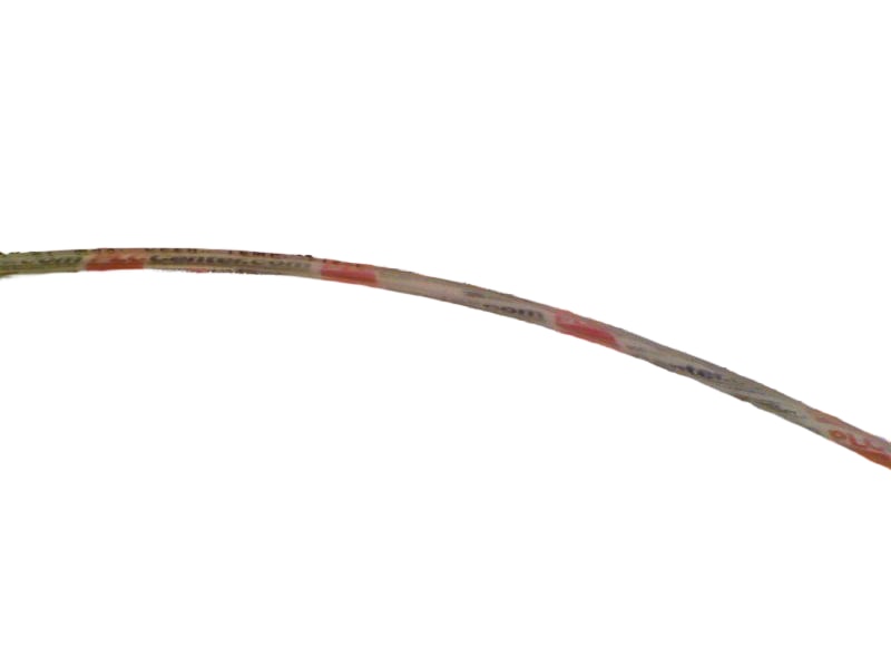 22-NT-1/8-NSF by DAYCO
