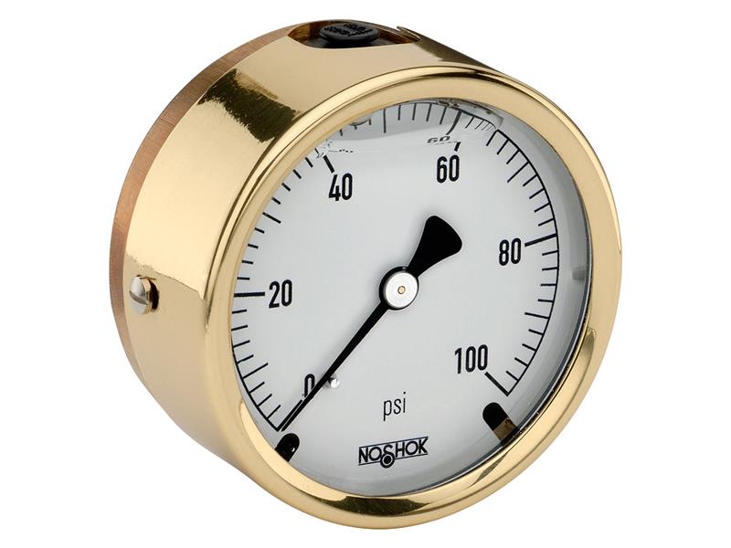 25-310-160-PSI-SST by NOSHOK