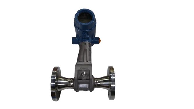 EMERSON 8800DF010SA1N1D1M5