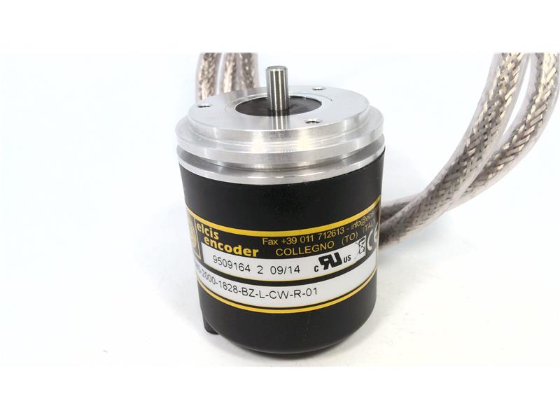 ELCIS I/58S-2000-1828-BZ-L-CW-R-01