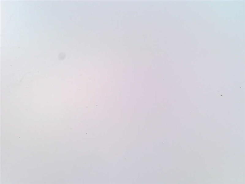 ANDERSON-NEGELE SL5089122201206/PULSE