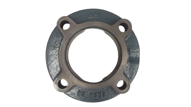 AMI BEARINGS UCFCSX06-19