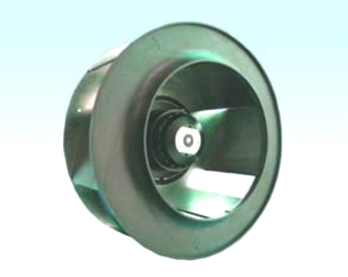 ROSENBERG USA Y06-09