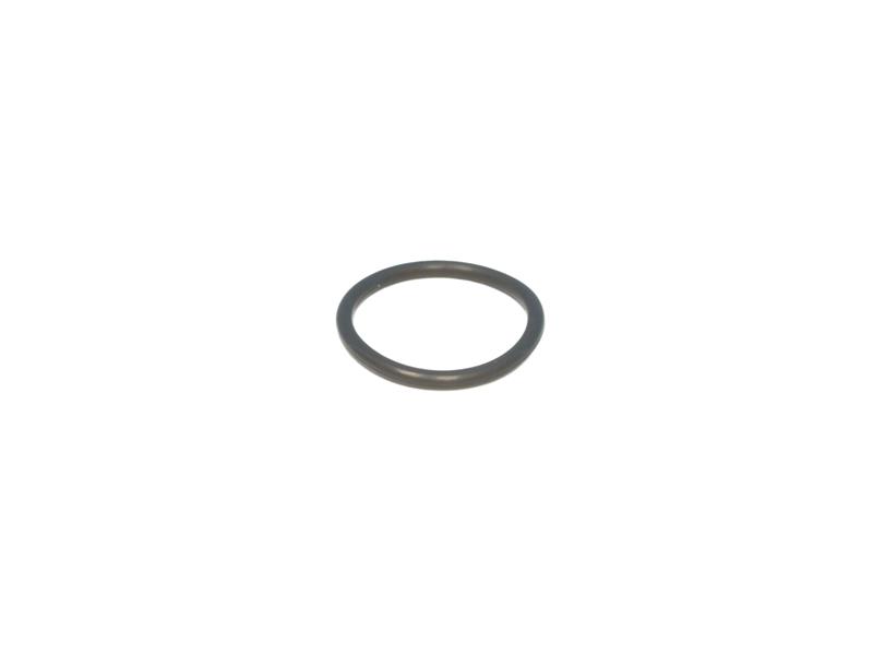 ORING 20X2FPM-80