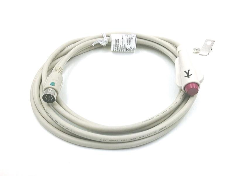 CCDIN by RAULAND BORG