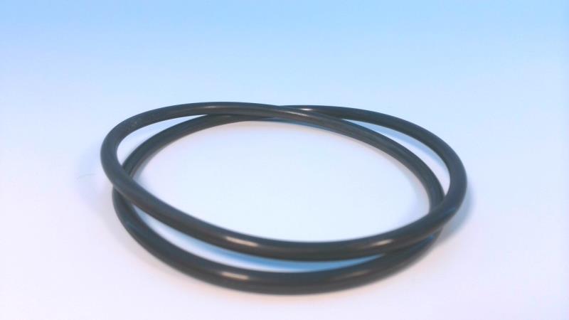 THERMO FISHER SCIENTIFIC 1L479906992