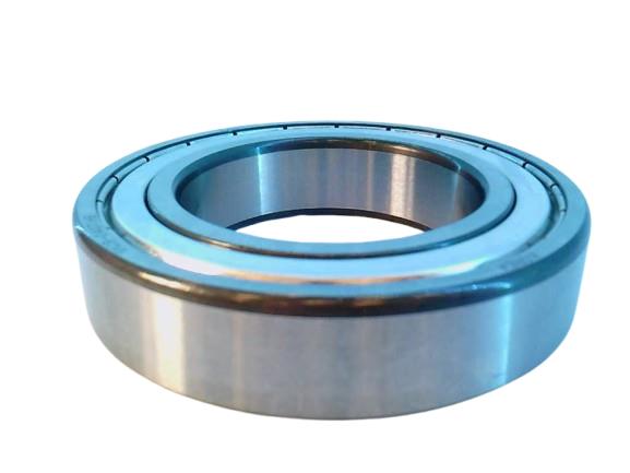 SCHAEFFLER GROUP 6009-Z