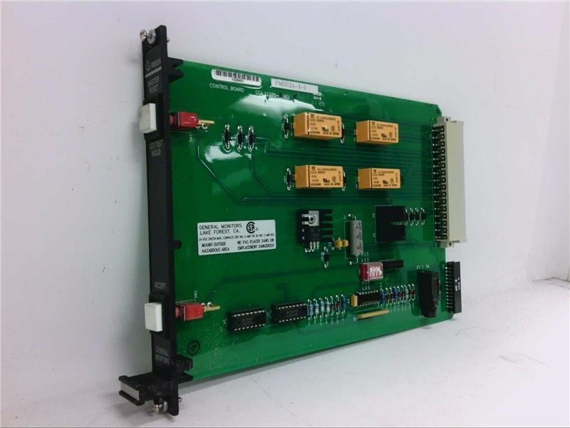GENERAL MONITORS INC FM002A-1-1