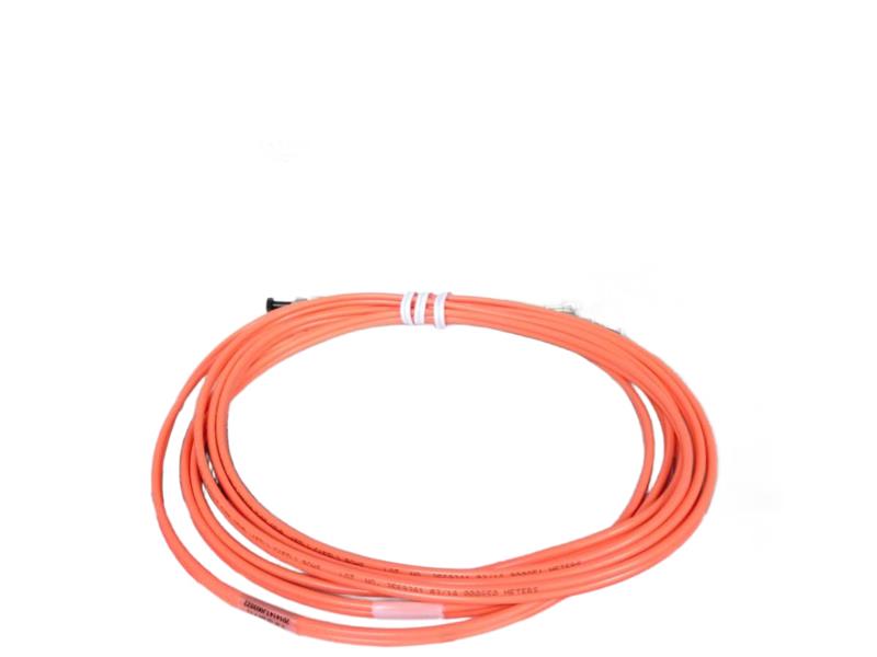 BELDEN FP1STST003M
