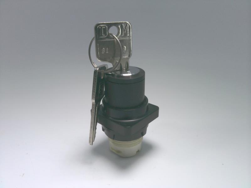 SCHNEIDER ELECTRIC 9001-D1L30