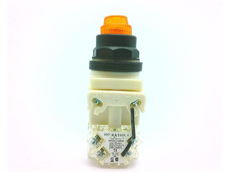 SCHNEIDER ELECTRIC 9001-SKT38LYA31