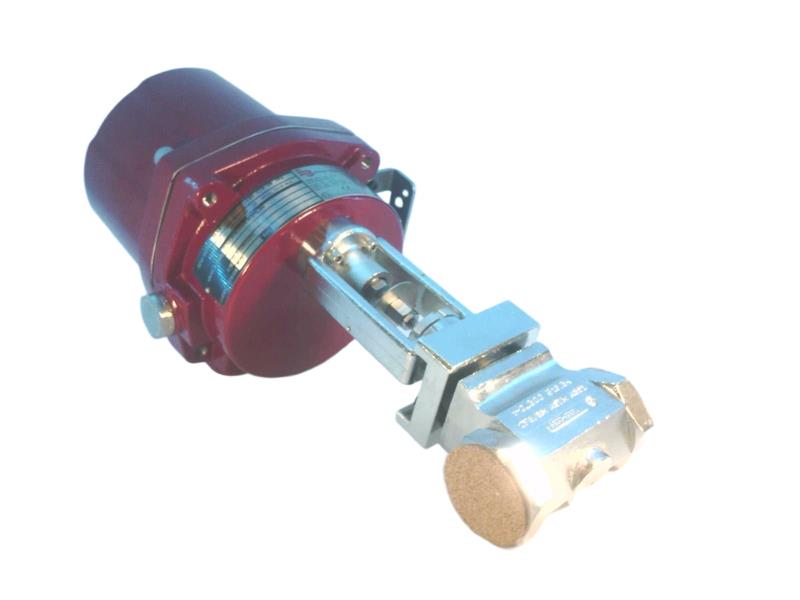 BADGER METER SEVA-100-M25-1.125-1/4-28-IP6