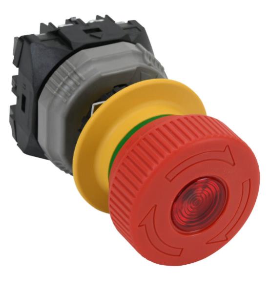 FUJI ELECTRIC AR22VQL-12EAR