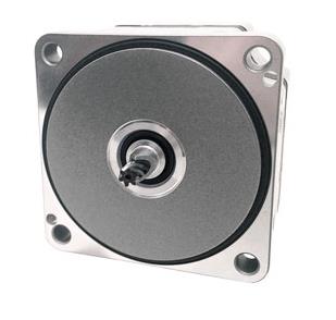 ORIENTAL MOTOR BLM230-GFV2