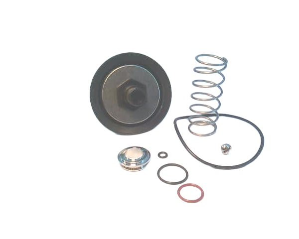 WATTS RK-009M2-VT
