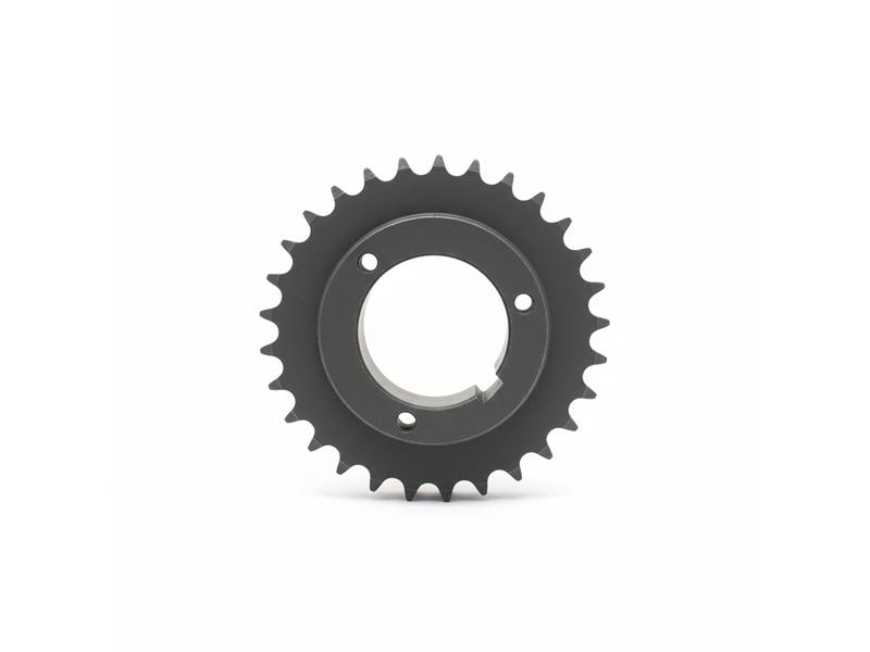 REGAL REXNORD D40P28-2