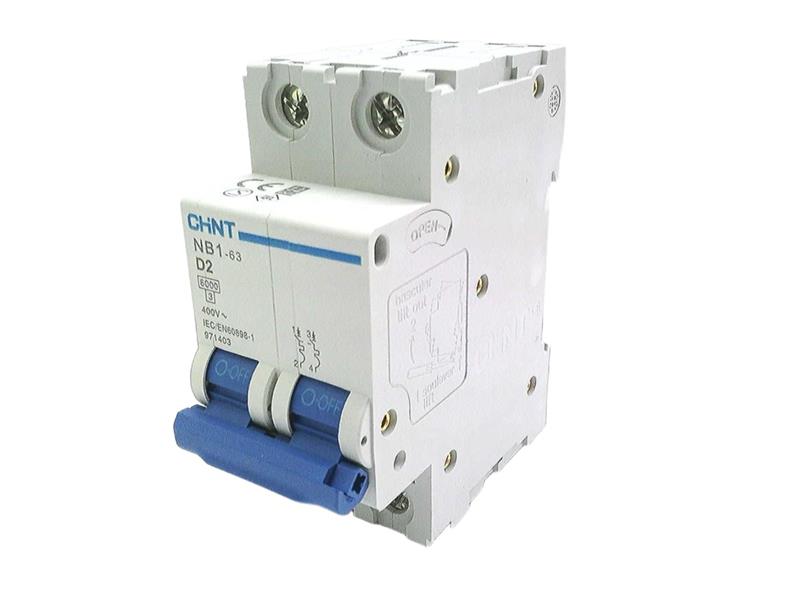 CHINT NB1-63D2P02