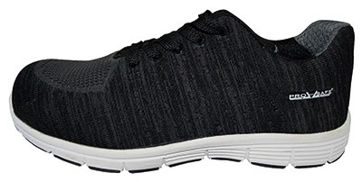 PRO SAFE INC PSF-13006H