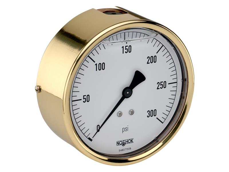 NOSHOK 40-310-1000-PSI