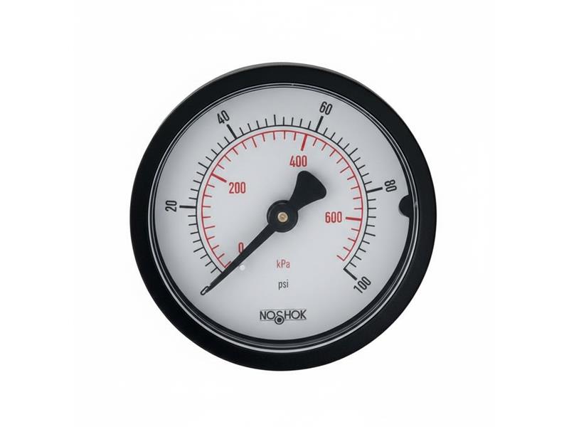 20-110-60-PSI/KPA-BLFF-CC by NOSHOK