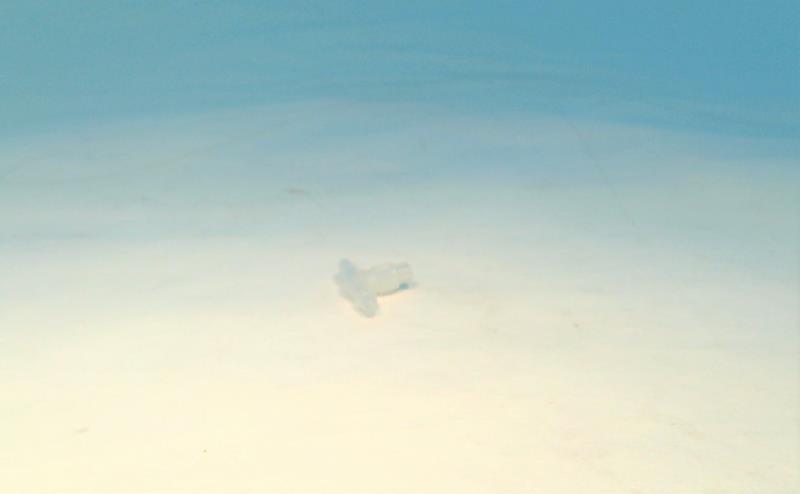 DOVER CORPORATION MS4