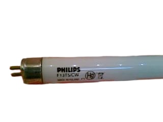 PHILIPS F13T5/CW
