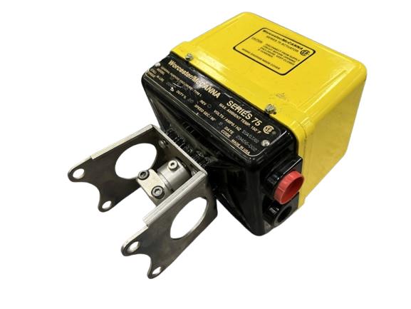 FLOWSERVE 12 75 D2 120A