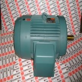 ASEA BROWN BOVERI P36F319-PY