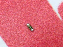 VISHAY R820X025W1MELF