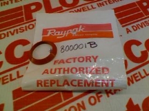 RAYPAK 800001B