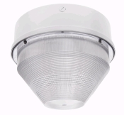 RAB LIGHTING VANGF42QTW/E2